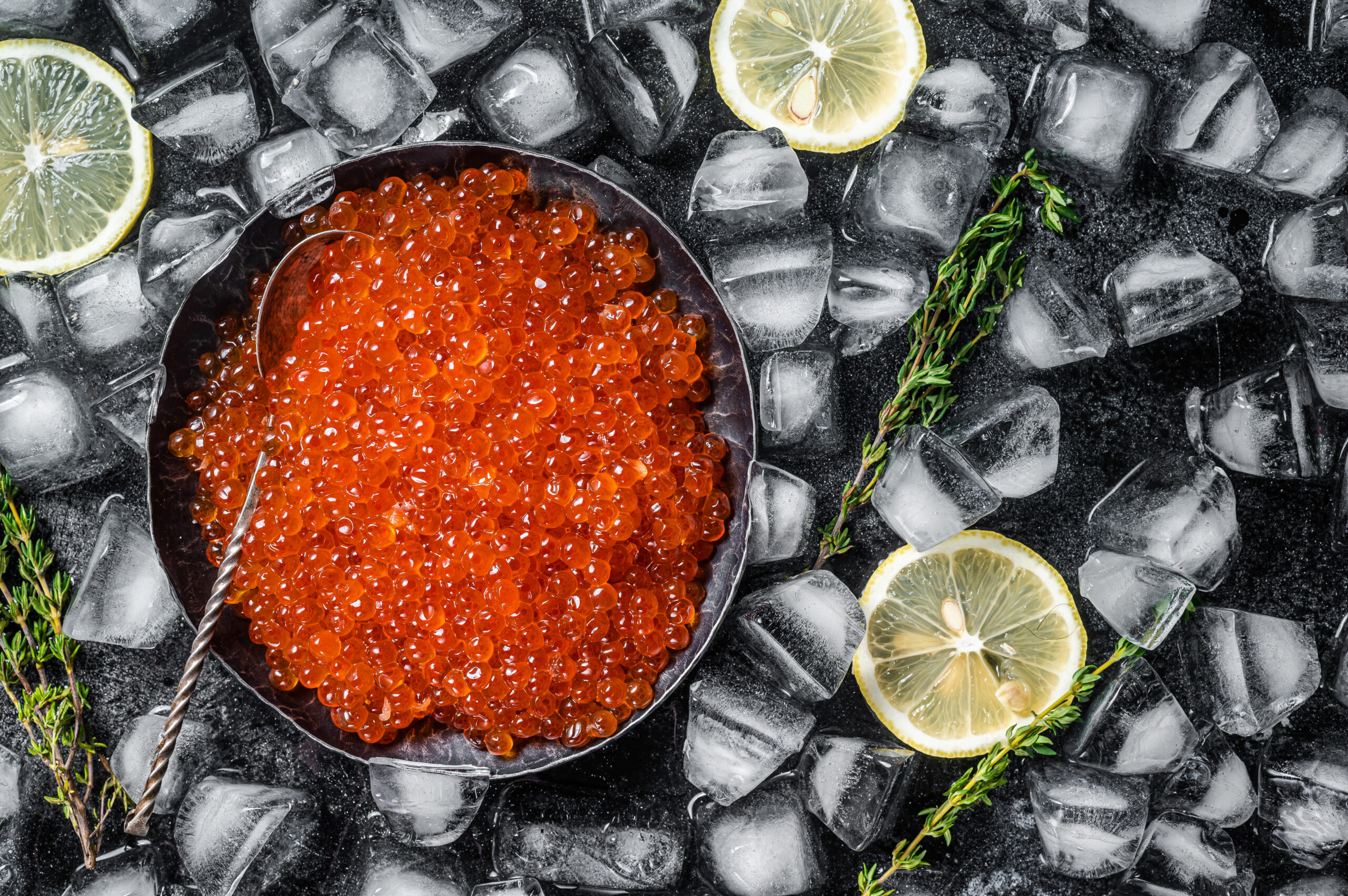 Salty Red caviar in steel plate on ice. Black background. Top view. Copy space.