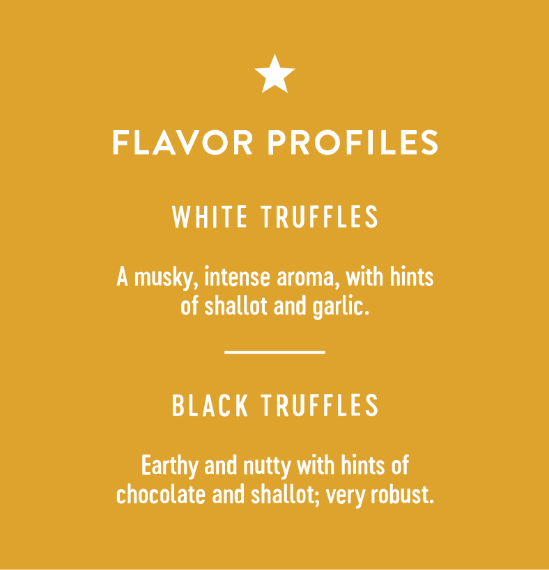 flavor profiles - white truffles have a musky, intense aroma, with himts of shallot and garlic. Black truffles are earthy and nutty with hints of chocolate and shallot; very robust