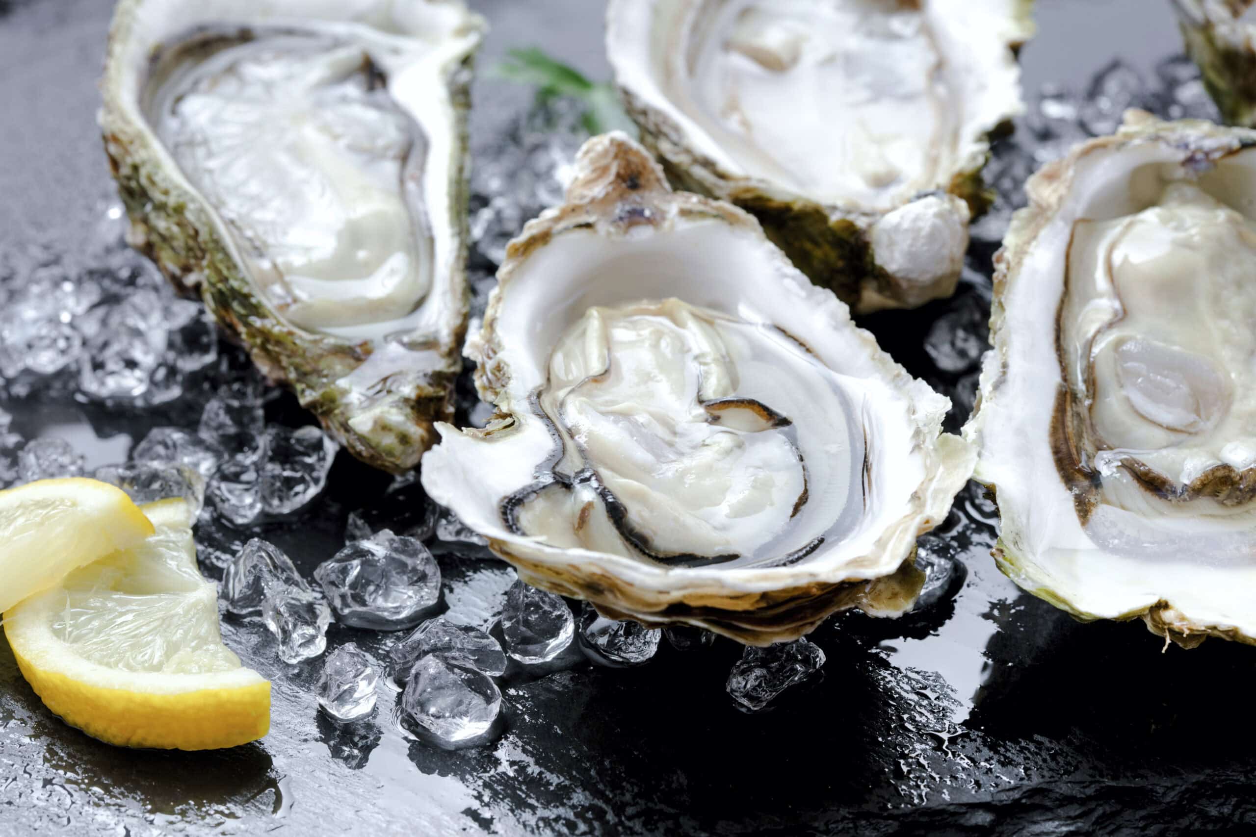 opened fresh oysters with ice and lemon slice on black slate 