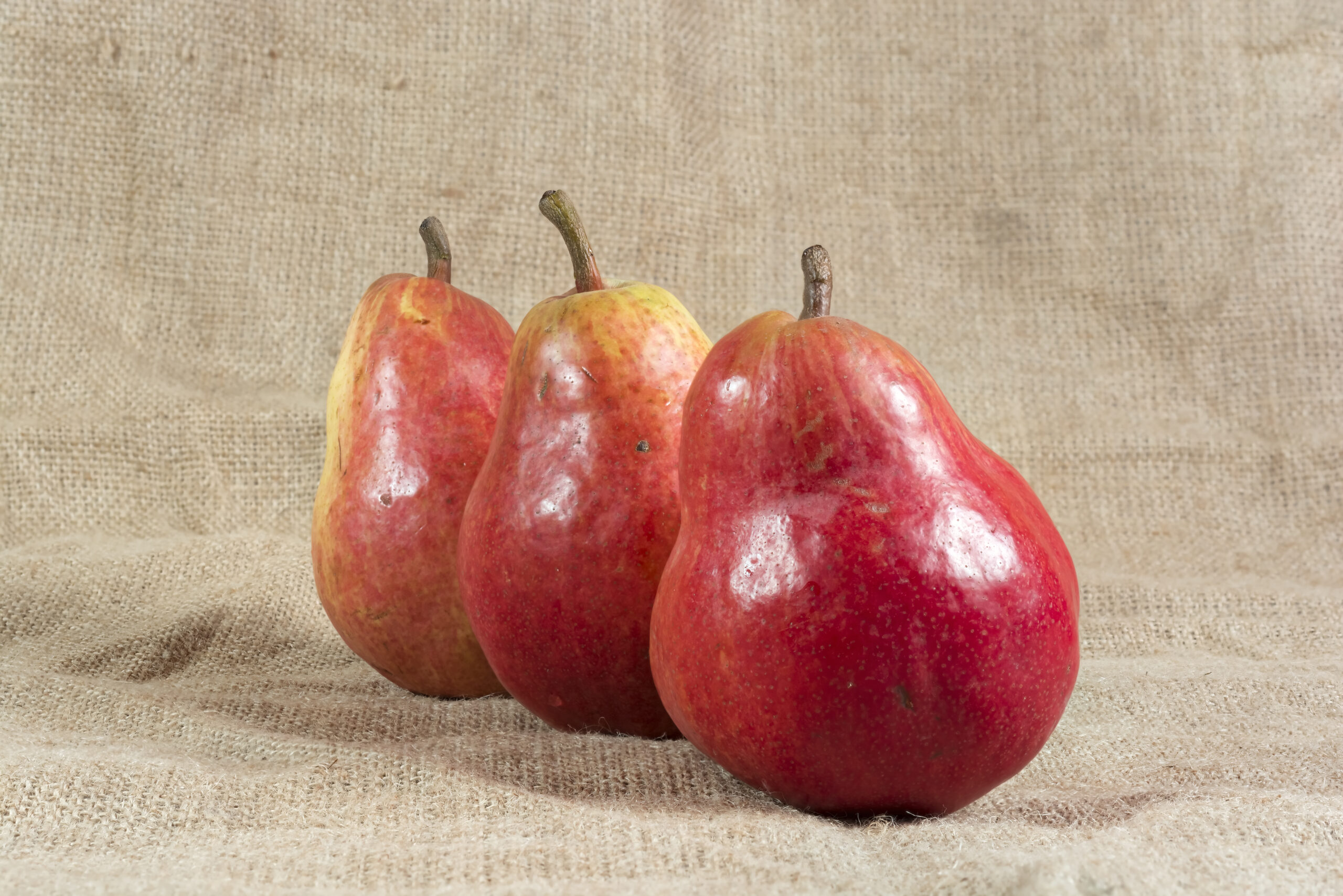 red anjou pears